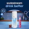 image:imageSodaStream  ETERRA Soda Maker  VALUE BUNDLE  3 Automatic Carbonation Levels  Includes 2x CO2 Cylinders 3x 32 Fl Oz Dishwasher Safe Bottles 2x Bubly Fruit Flavor Drops 1x Power Adapter  BlackWhite