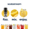 image:imageSodaStream Pink Grapefruit Zero Calorie 148 Fl Oz Pack of 4Ginger Ale Diet