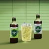 image:imageSodaStream Pink Grapefruit Zero Calorie 148 Fl Oz Pack of 4Ginger Ale New Pour