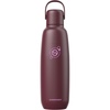 image:imagesodastream Fizz amp Go Cool  All Metal Bottle Mint Carbonating Bottle Capacity 09LPomegranate