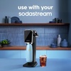 image:imagesodastream Fizz amp Go Cool  All Metal Bottle Mint Carbonating Bottle Capacity 09LArctic