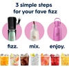 image:imagesodastream Fizz amp Go Cool  All Metal Bottle Mint Carbonating Bottle Capacity 09LGuava