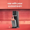 image:imagesodastream Fizz amp Go Cool  All Metal Bottle Mint Carbonating Bottle Capacity 09LPapaya