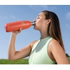 image:imagesodastream Fizz amp Go Cool  All Metal Bottle Mint Carbonating Bottle Capacity 09LPapaya