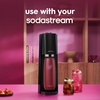 image:imagesodastream Fizz amp Go Cool  All Metal Bottle Mint Carbonating Bottle Capacity 09LPomegranate