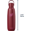 image:imagesodastream Fizz amp Go Cool  All Metal Bottle Mint Carbonating Bottle Capacity 09LPomegranate