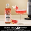 image:imageSodaStream Crafted Cocktail Mixers White Peach amp Ginger Flavor Nonalcoholic mixers expertly crafted for sparkling cocktails amp mocktails 111 FL OZ Pack of 3Grapefruit  Elderflower
