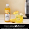 image:imageSodaStream Crafted Cocktail Mixers White Peach amp Ginger Flavor Nonalcoholic mixers expertly crafted for sparkling cocktails amp mocktails 111 FL OZ Pack of 3Pineapple Jalapeno